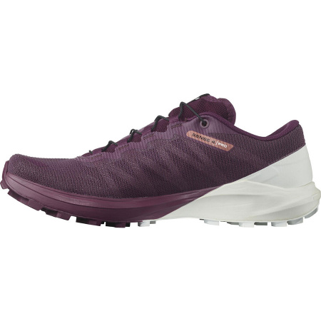 Кроссовки SALOMON SENSE 4 W /PRO Plum Casp