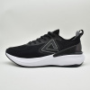 Кроссовки Peak TAICHI 6.0 Black/White