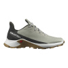 Кроссовки SALOMON ALPHACROSS 3 Wrought Iro