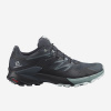 Кроссовки SALOMON WINGS SKY W GTX India In