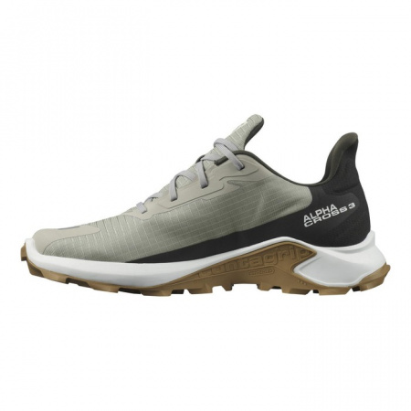 Кроссовки SALOMON ALPHACROSS 3 Wrought Iro