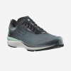 Кроссовки Salomon SONIC 4 Accelerate QuSh/Wht/Bl