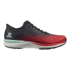 Кроссовки SALOMON SONIC 4 Accelerate Goji