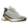 Кроссовки SALOMON ALPHACROSS 3 Wrought Iro