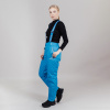 Утепленные брюки Nordski Premium Blue W Q