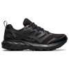Беговые кроссовки Asics Sonoma 6 GTX Black/Black